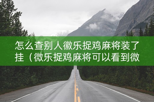 怎么查别人徽乐捉鸡麻将装了挂（微乐捉鸡麻将可以看到微信朋友打麻将吗）