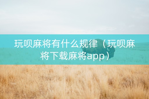 玩呗麻将有什么规律（玩呗麻将下载麻将app）