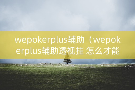 wepokerplus辅助（wepokerplus辅助透视挂 怎么才能开到挂呢）