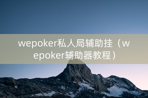 wepoker私人局辅助挂（wepoker辅助器教程）