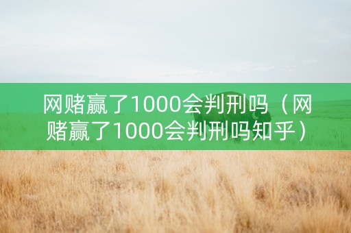 网赌赢了1000会判刑吗（网赌赢了1000会判刑吗知乎）