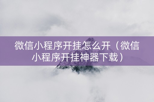 微信小程序开挂怎么开（微信小程序开挂神器下载）