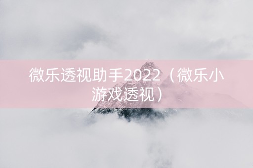 微乐透视助手2022（微乐小游戏透视）