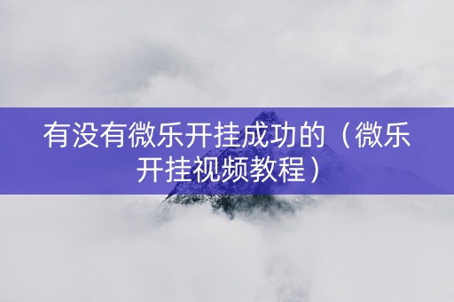 有没有微乐开挂成功的（微乐开挂视频教程）