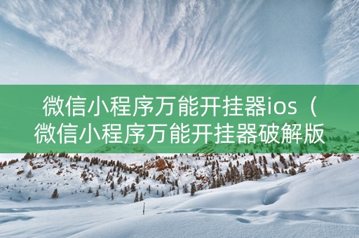 微信小程序万能开挂器ios（微信小程序万能开挂器破解版）