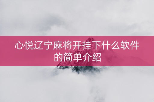 心悦辽宁麻将开挂下什么软件的简单介绍