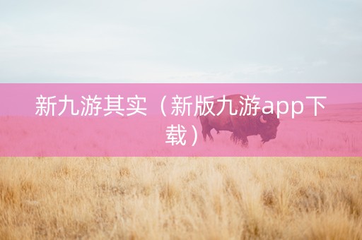 新九游其实（新版九游app下载）