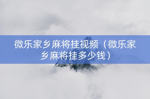 微乐家乡麻将挂视频（微乐家乡麻将挂多少钱）