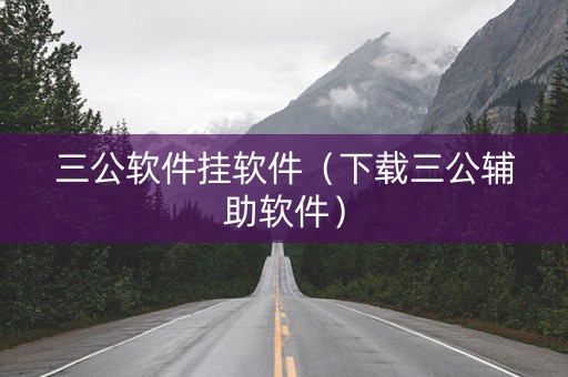 三公软件挂软件（下载三公辅助软件）