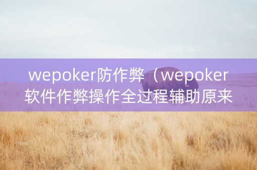 wepoker防作弊（wepoker软件作弊操作全过程辅助原来这么简单）