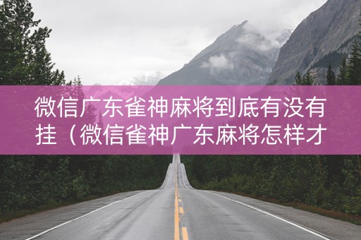 微信广东雀神麻将到底有没有挂（微信雀神广东麻将怎样才能提高胜率?）