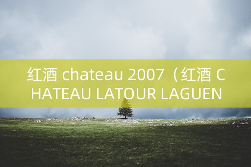 红酒 chateau 2007（红酒 CHATEAU LATOUR LAGUENS）