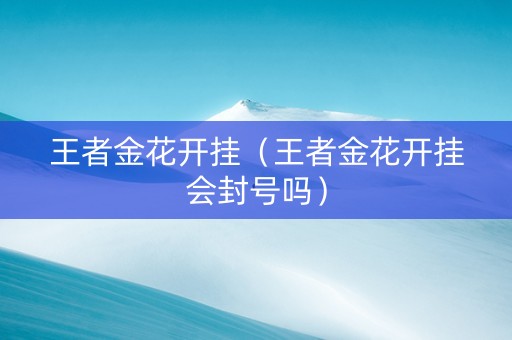 王者金花开挂（王者金花开挂会封号吗）