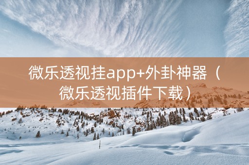 微乐透视挂app+外卦神器（微乐透视插件下载）