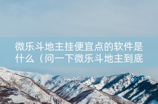 微乐斗地主挂便宜点的软件是什么（问一下微乐斗地主到底有挂吗）