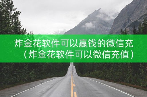 炸金花软件可以赢钱的微信充（炸金花软件可以微信充值）