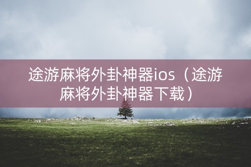 途游麻将外卦神器ios（途游麻将外卦神器下载）