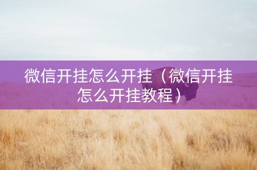 微信开挂怎么开挂（微信开挂怎么开挂教程）