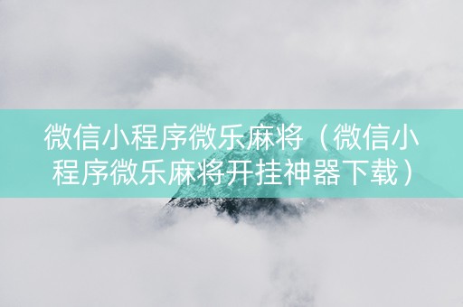 微信小程序微乐麻将（微信小程序微乐麻将开挂神器下载）