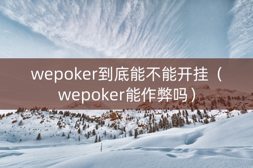 wepoker到底能不能开挂（wepoker能作弊吗）