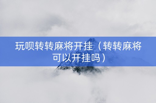 玩呗转转麻将开挂（转转麻将可以开挂吗）