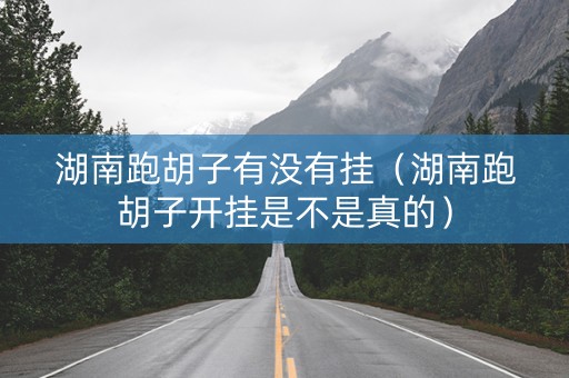 湖南跑胡子有没有挂（湖南跑胡子开挂是不是真的）