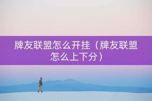 牌友联盟怎么开挂（牌友联盟怎么上下分）