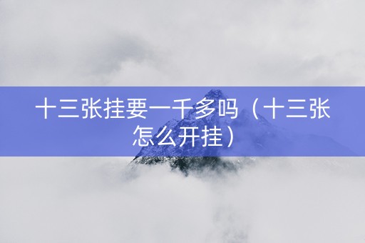 十三张挂要一千多吗（十三张怎么开挂）