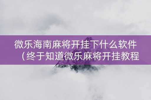 微乐海南麻将开挂下什么软件（终于知道微乐麻将开挂教程）