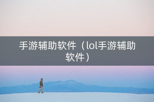 手游辅助软件（lol手游辅助软件）