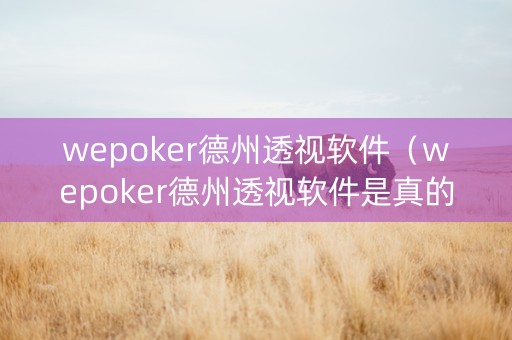 wepoker德州透视软件（wepoker德州透视软件是真的吗）