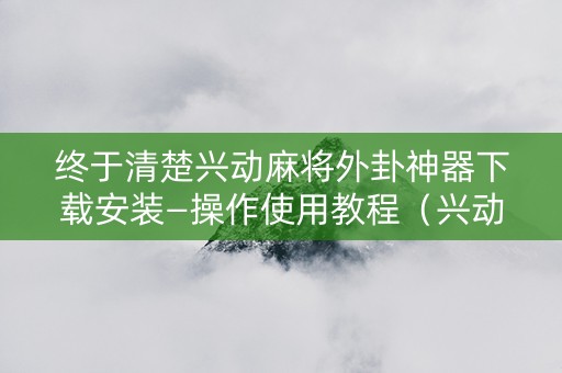 终于清楚兴动麻将外卦神器下载安装—操作使用教程（兴动麻将挂是真的吗）