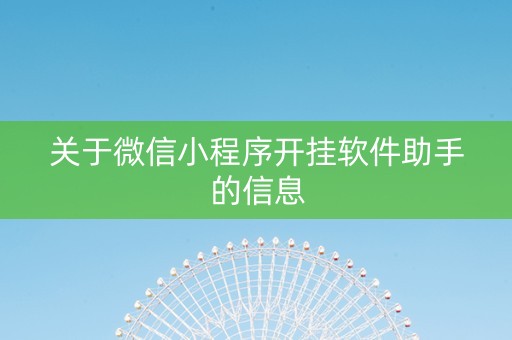 关于微信小程序开挂软件助手的信息