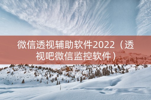 微信透视辅助软件2022（透视吧微信监控软件）