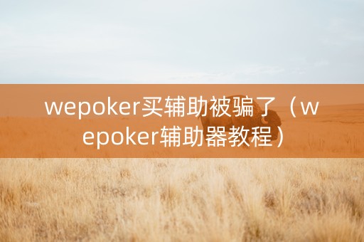 wepoker买辅助被骗了（wepoker辅助器教程）