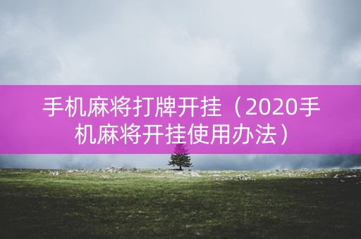 手机麻将打牌开挂（2020手机麻将开挂使用办法）