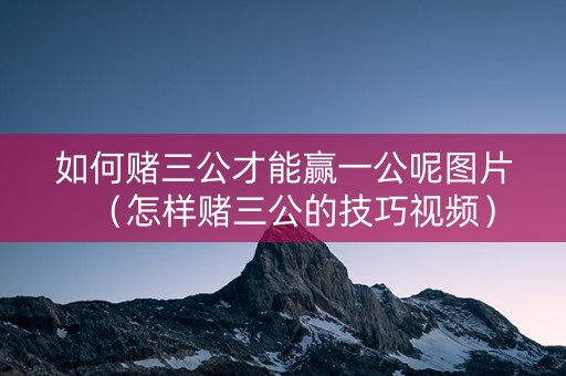 如何赌三公才能赢一公呢图片（怎样赌三公的技巧视频）