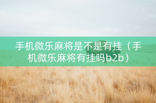 手机微乐麻将是不是有挂（手机微乐麻将有挂吗b2b）