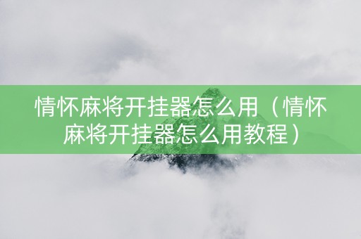 情怀麻将开挂器怎么用（情怀麻将开挂器怎么用教程）