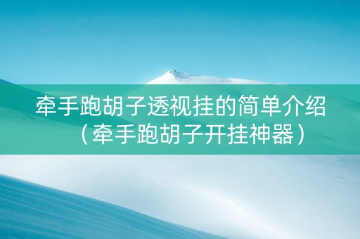 牵手跑胡子透视挂的简单介绍（牵手跑胡子开挂神器）