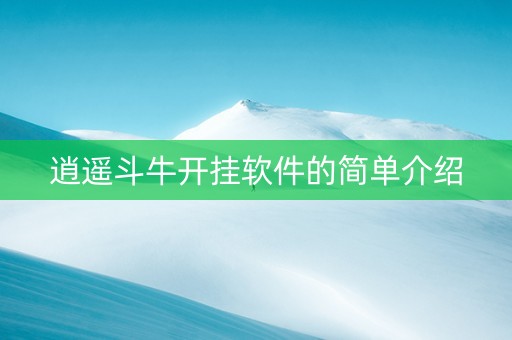 逍遥斗牛开挂软件的简单介绍