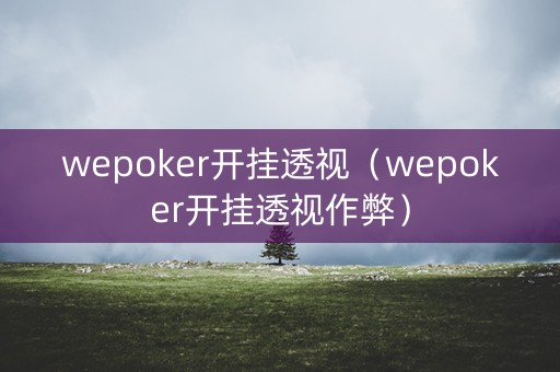 wepoker开挂透视（wepoker开挂透视作弊）