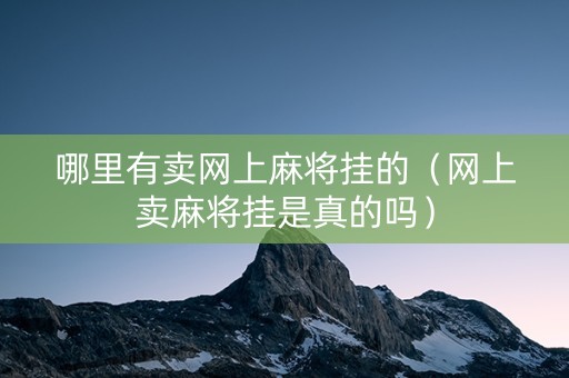 哪里有卖网上麻将挂的（网上卖麻将挂是真的吗）