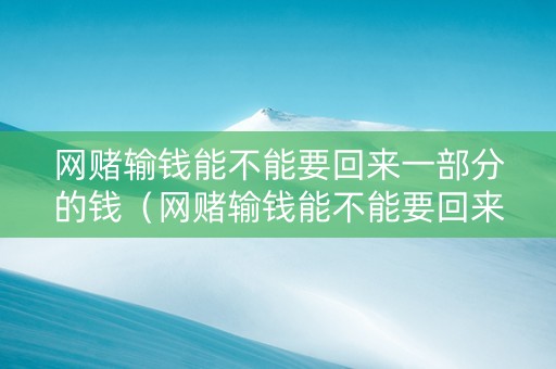 网赌输钱能不能要回来一部分的钱（网赌输钱能不能要回来一部分的钱呢）