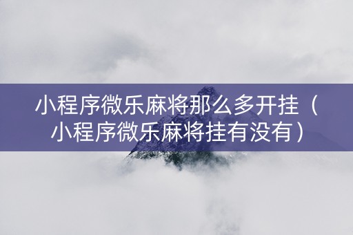 小程序微乐麻将那么多开挂（小程序微乐麻将挂有没有）