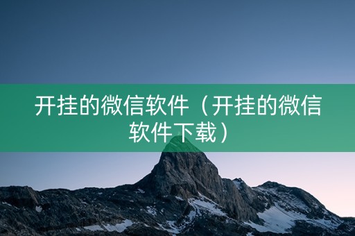 开挂的微信软件（开挂的微信软件下载）