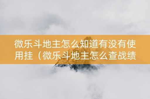 微乐斗地主怎么知道有没有使用挂（微乐斗地主怎么查战绩）