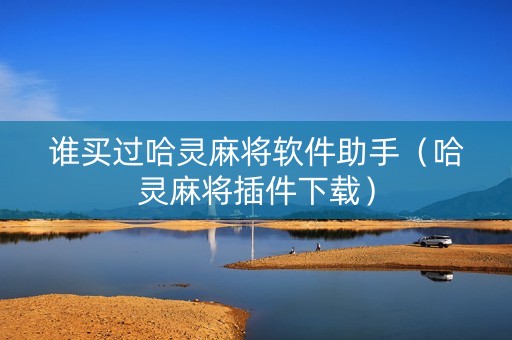 谁买过哈灵麻将软件助手（哈灵麻将插件下载）