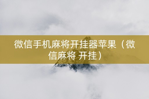 微信手机麻将开挂器苹果（微信麻将 开挂）