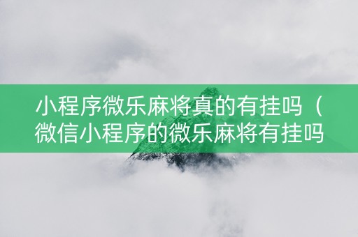 小程序微乐麻将真的有挂吗（微信小程序的微乐麻将有挂吗）